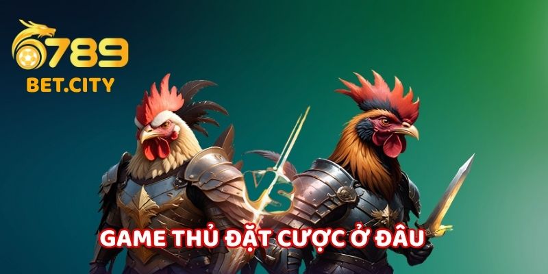 Game thủ có thể đặt cược ở những kèo nào.