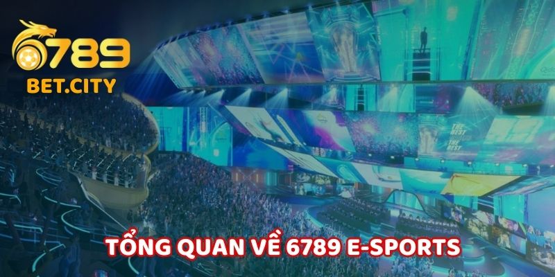 Tổng quan về 6789 E-Sports.